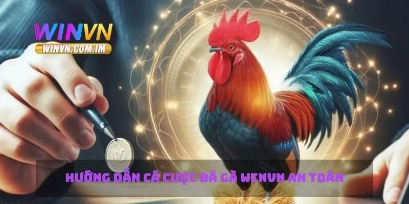 Đá Gà Winvn Tìm Hiểu Mẹo Chơi Và Cá Cược Hiệu Quả 4 Hướng dẫn cá cược đá gà Winvn an toàn